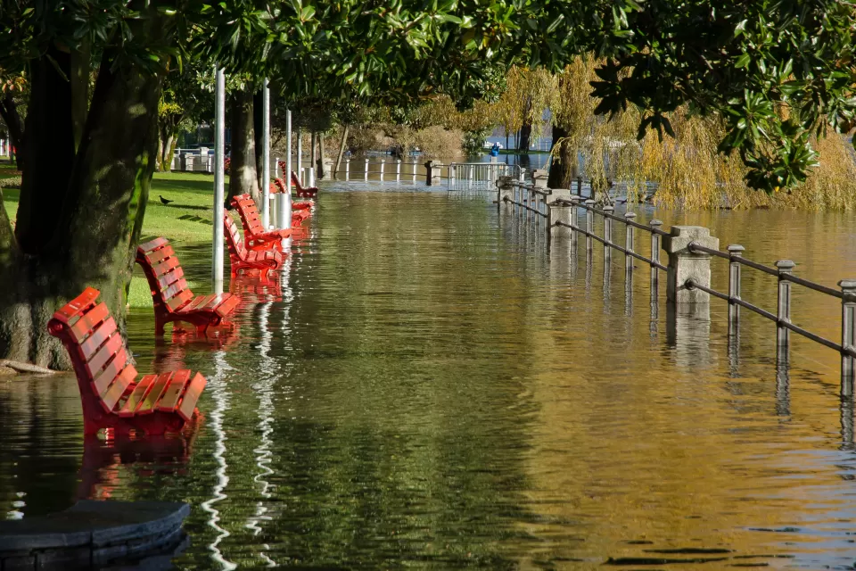 Flood waters overwhelm a park, full of empty benches, on a sunny day.
